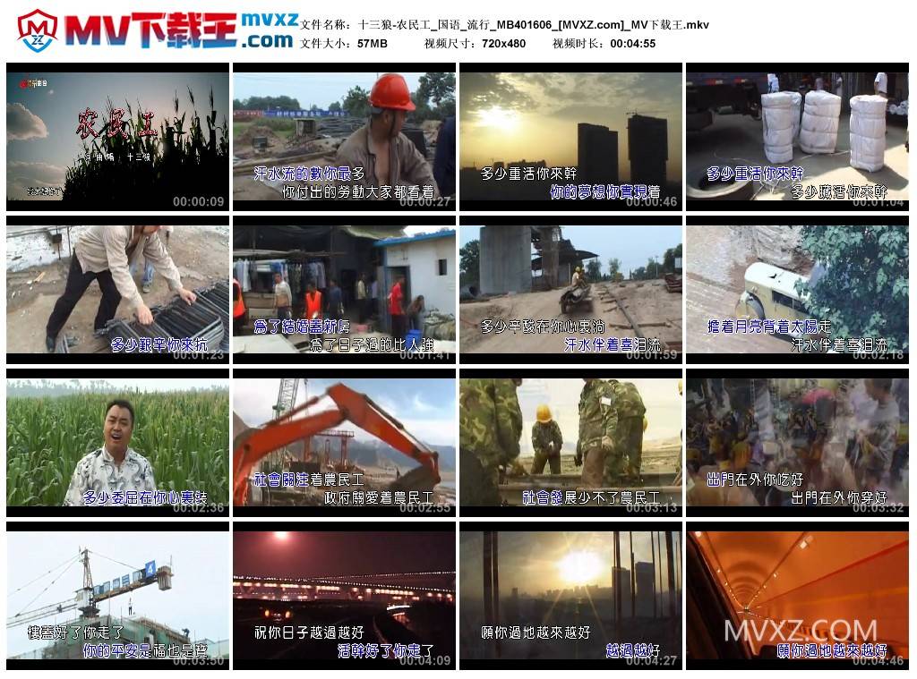 十三狼-农民工_国语_流行_MB401606